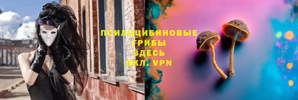 герыч Зеленодольск
