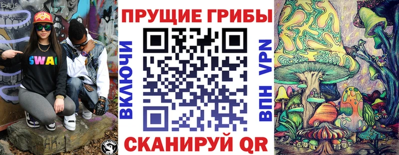 kraken как зайти  что такое   Находка  Псилоцибиновые грибы мухоморы 