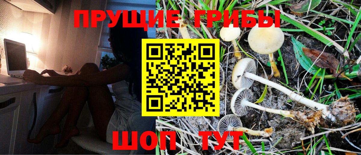 Находка  Псилоцибиновые грибы Magic Shrooms  Вход с VPN 